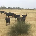 Jolie maison de ville rénovée à 50m des Arènes